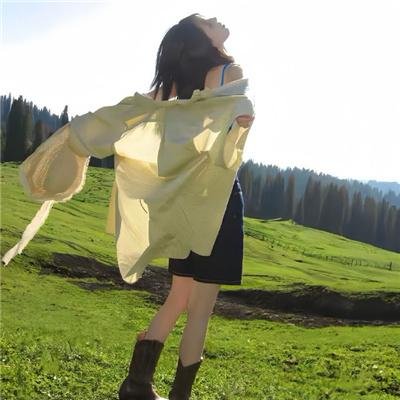 飞越苏联海报