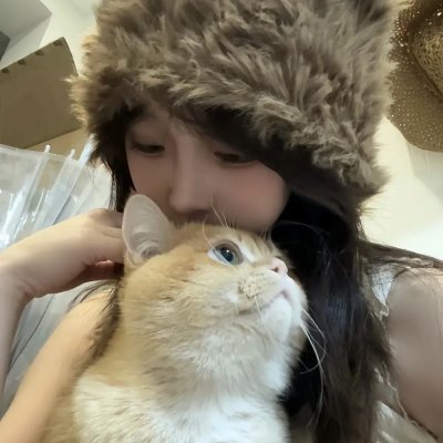 双面艾莉丝海报