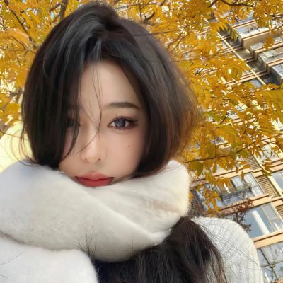 华丽的休假海报