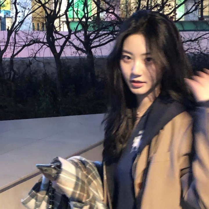 女佣变凤凰海报